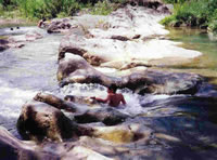 Rocks in the Shallow River